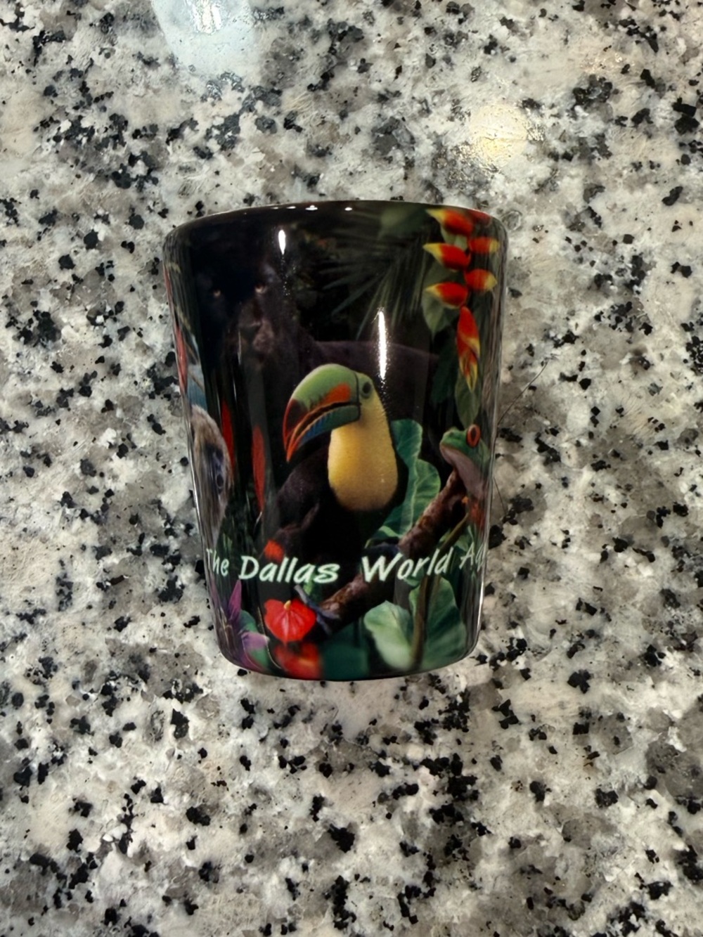 Dallas World Aquarium Shot Glass Animals Vibrant Colorful